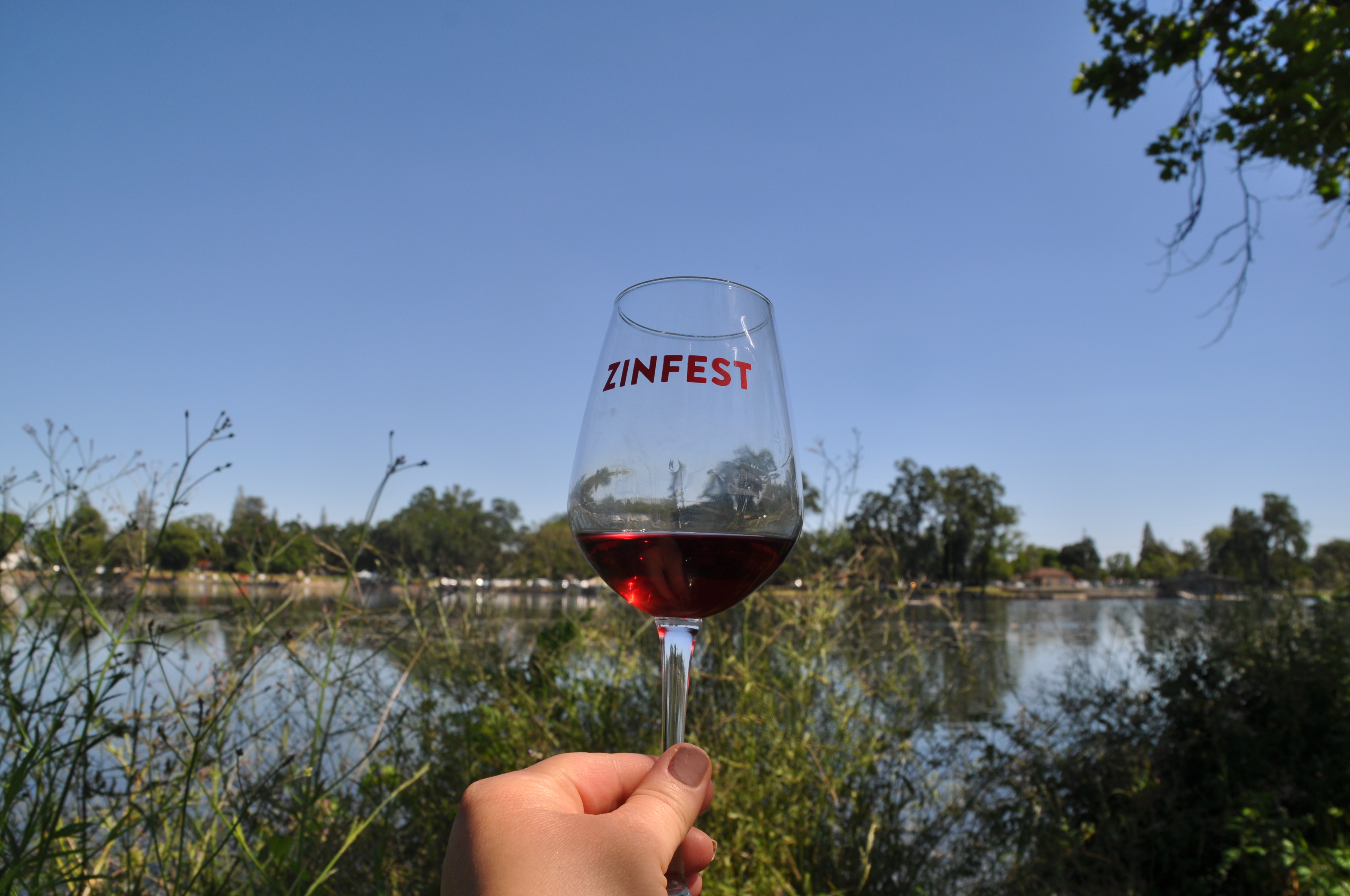 Tasting Tour, Festival, and Private Dinner: ZinFest Part Two
